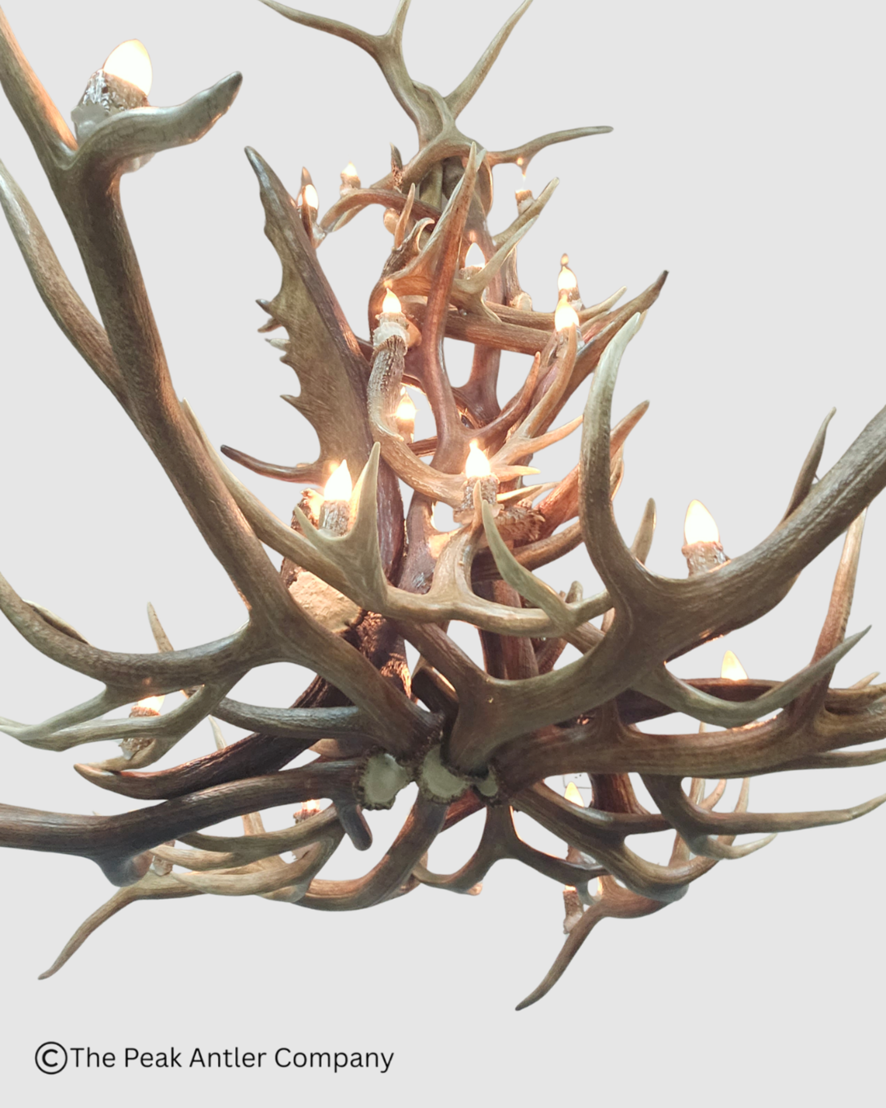 bottom view of the round extra large Elk, Moose & Deer Antler Chandelier