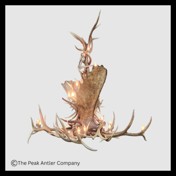 Quandary Peak Elk, Moose & Deer Antler Chandelier