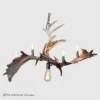 fallow deer and whitetail deer antler chandelier