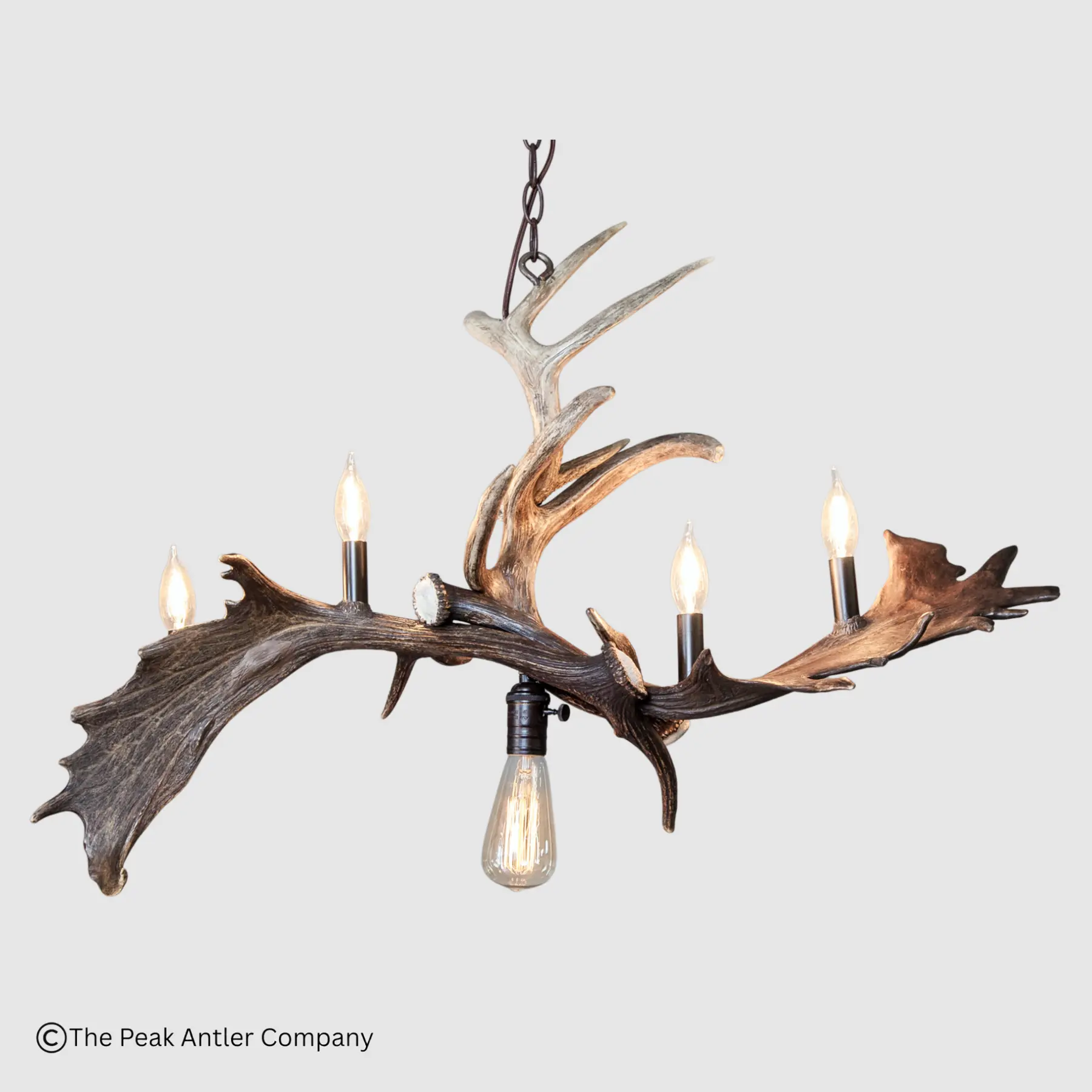 fallow deer and whitetail deer antler chandelier