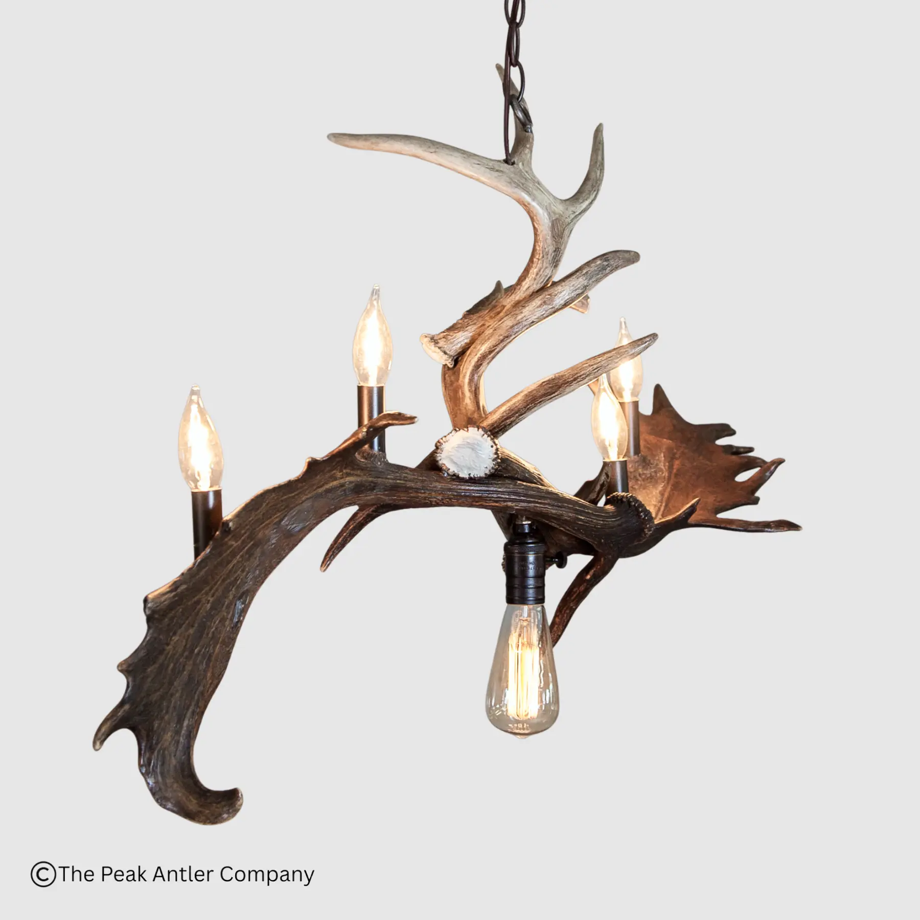 side angle of linear whitetail deer and fallow deer antler chandelier