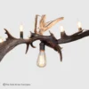 close up detailed view of the fallow deer and whitetail deer antler chandelier