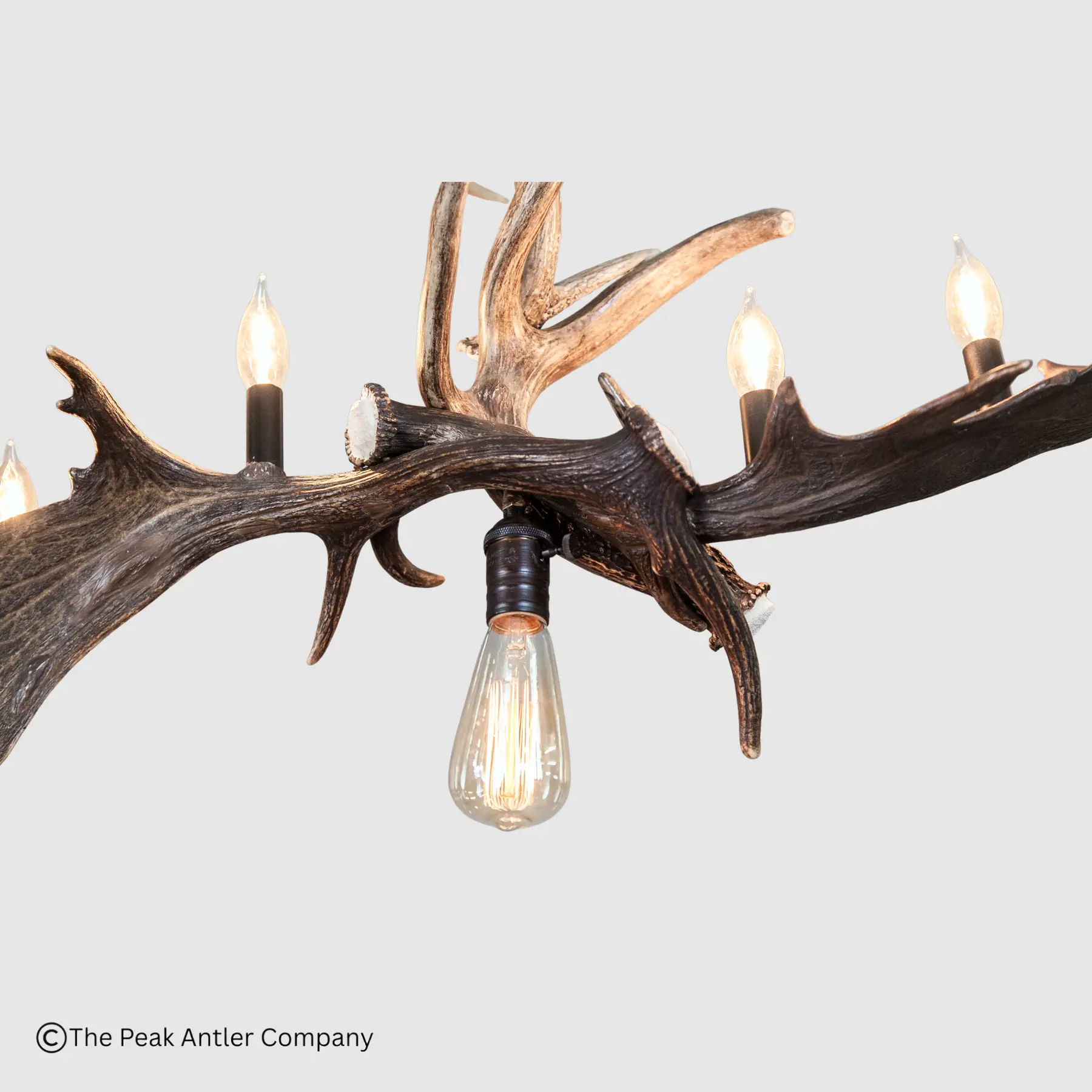 close up detailed view of the fallow deer and whitetail deer antler chandelier