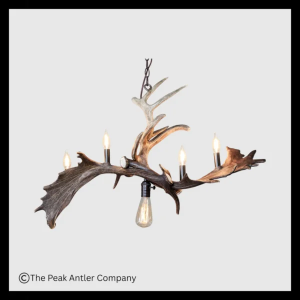 Ouzel Falls Fallow & Whitetail Deer Antler Chandelier