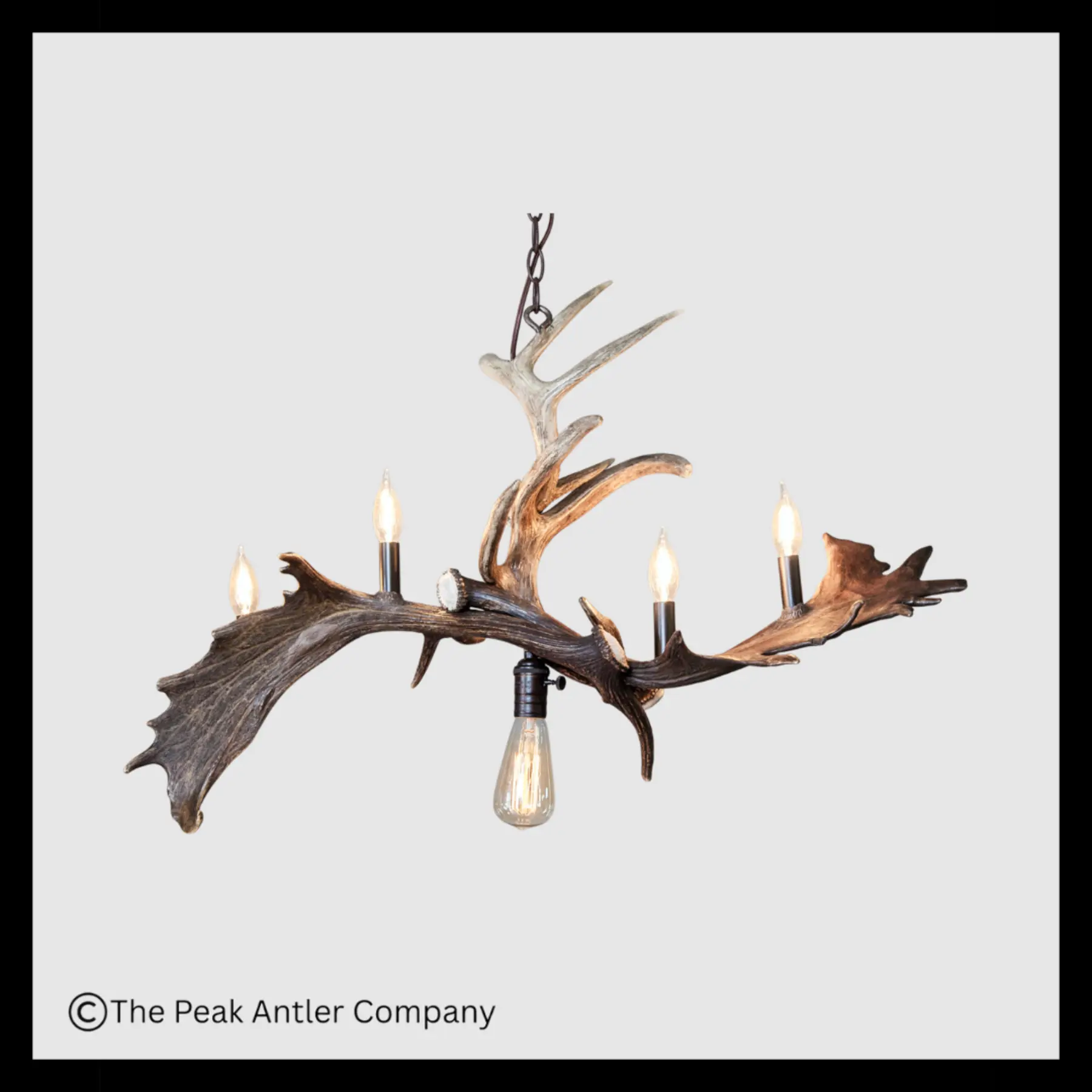 Ouzel Falls Fallow & Whitetail Deer Antler Chandelier