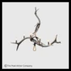 Bridal Veil Falls Elk Antler Chandelier