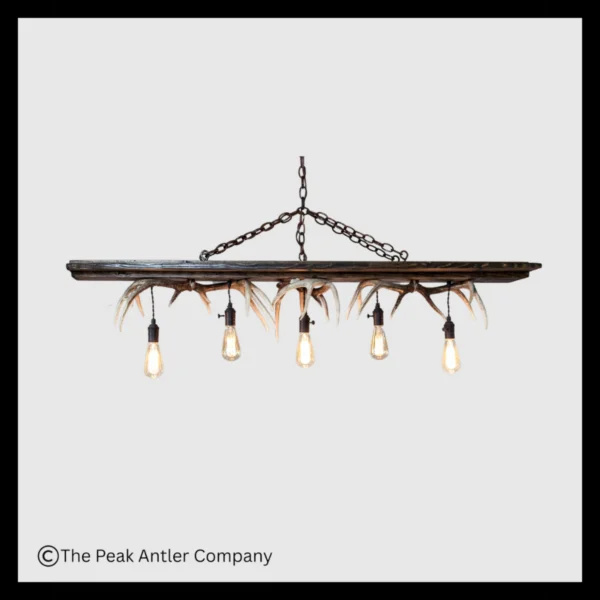Slenderwood Modern Whitetail Antler Chandelier