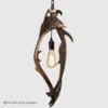 small fallow deer antler pendant light