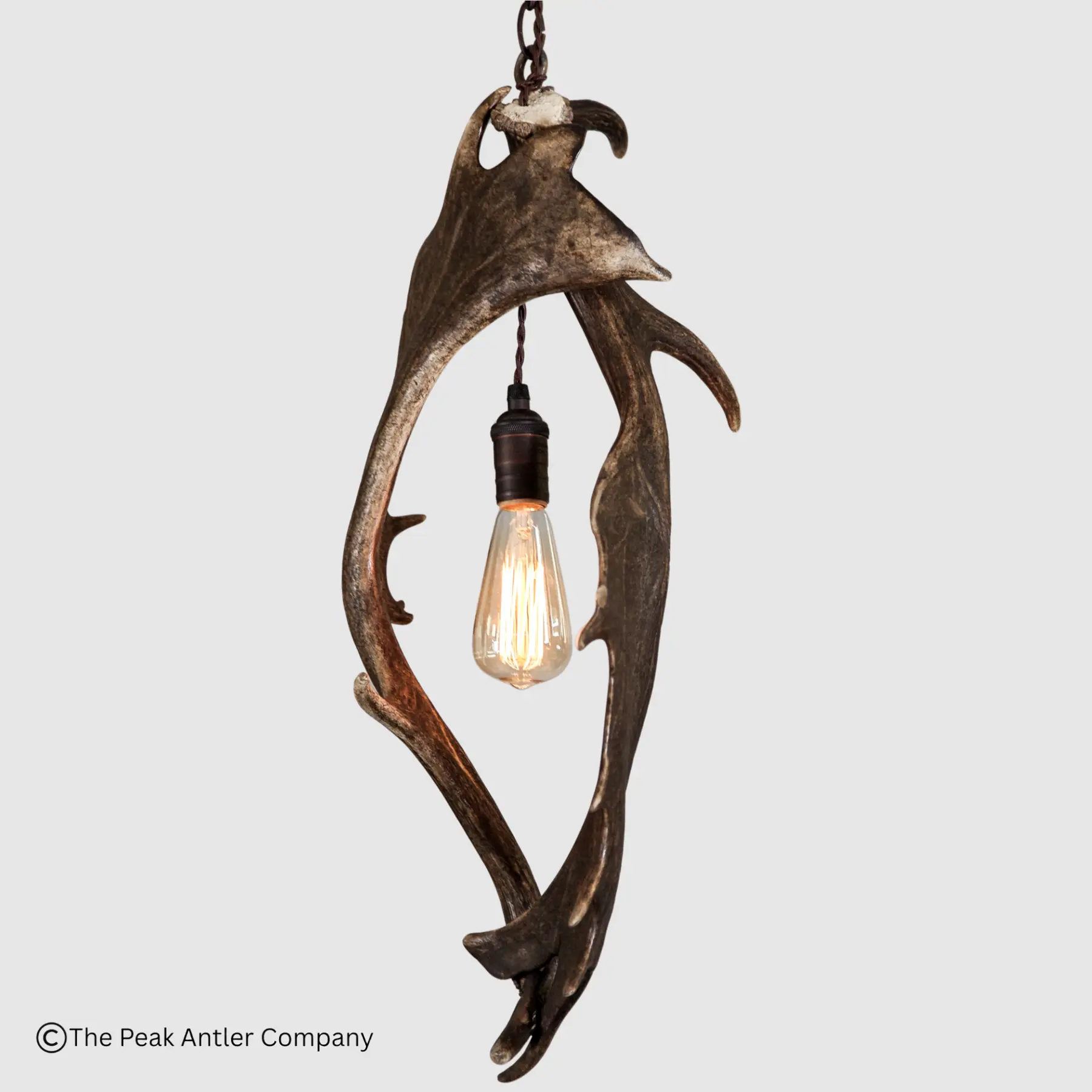 small fallow deer antler pendant light