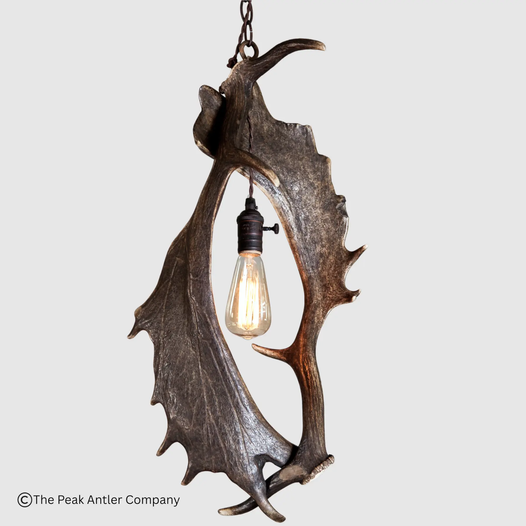 exotic fallow antler pendant light with 1 light bulb