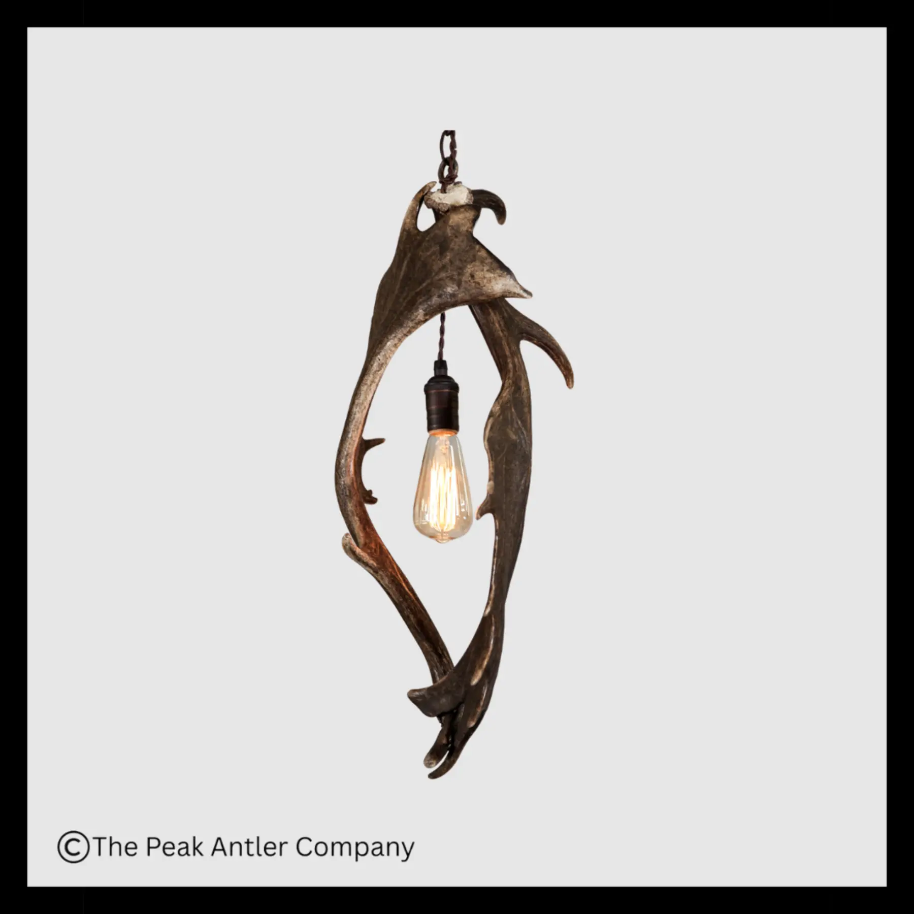 Zapata Falls Fallow Deer Antler Pendant Light