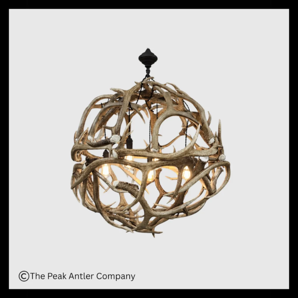 Elk Antler Globe Chandelier