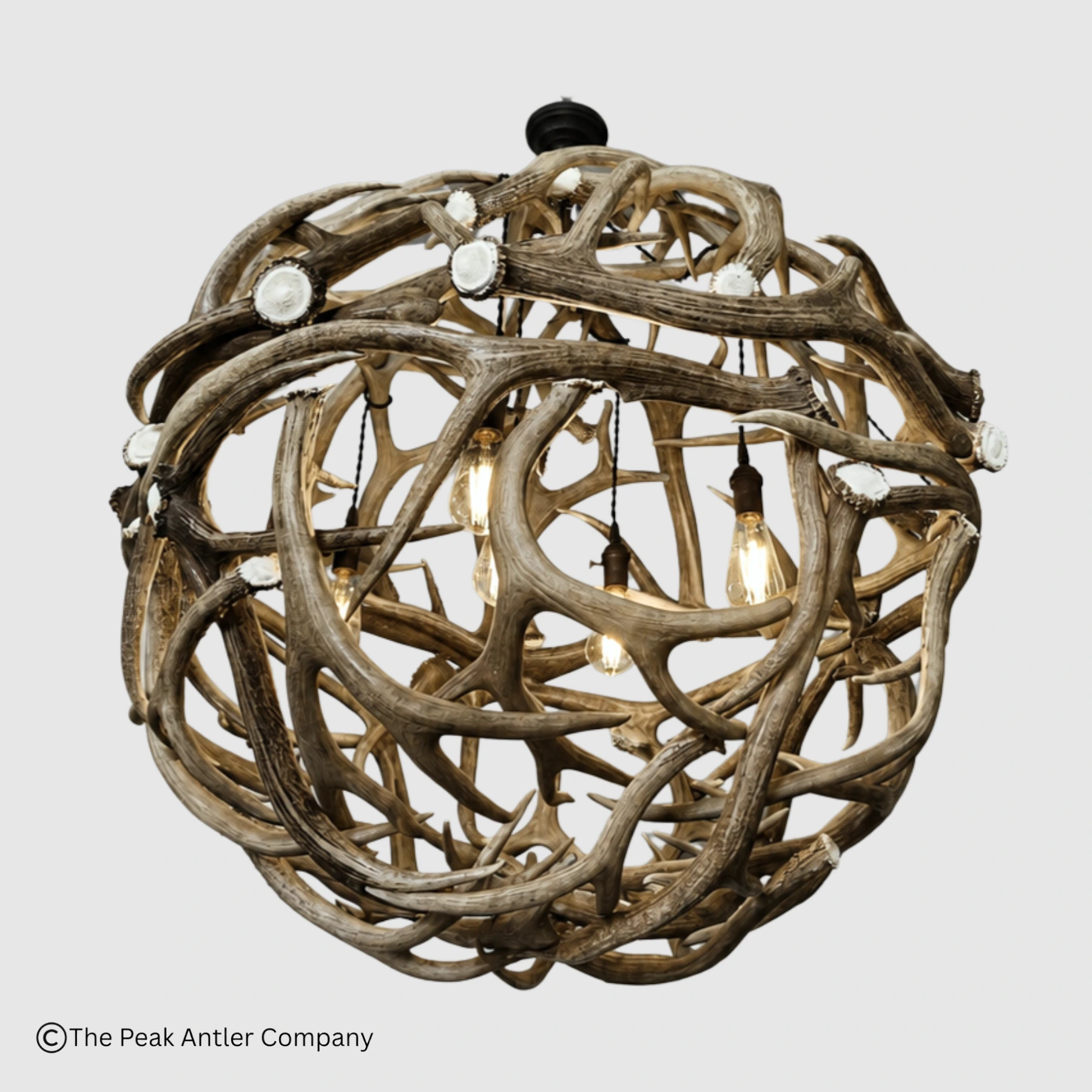 looking up at the round elk antler globe chandelier