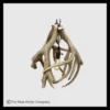 Mule Deer Antler Globe Pendant Light