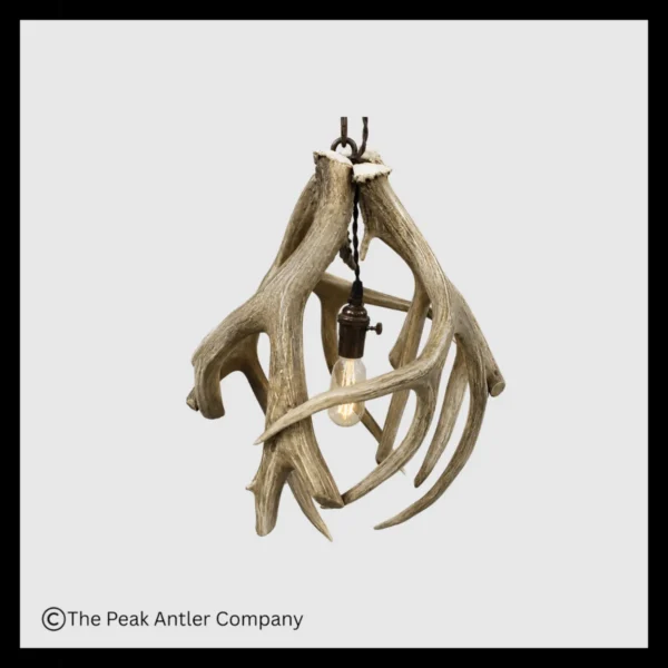Mule Deer Antler Globe Pendant Light