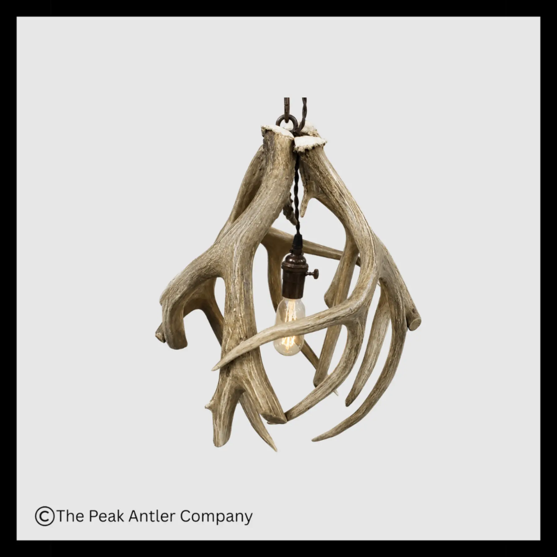 Mule Deer Antler Globe Pendant Light