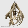 Small Round Mule Deer Antler Pendant Light