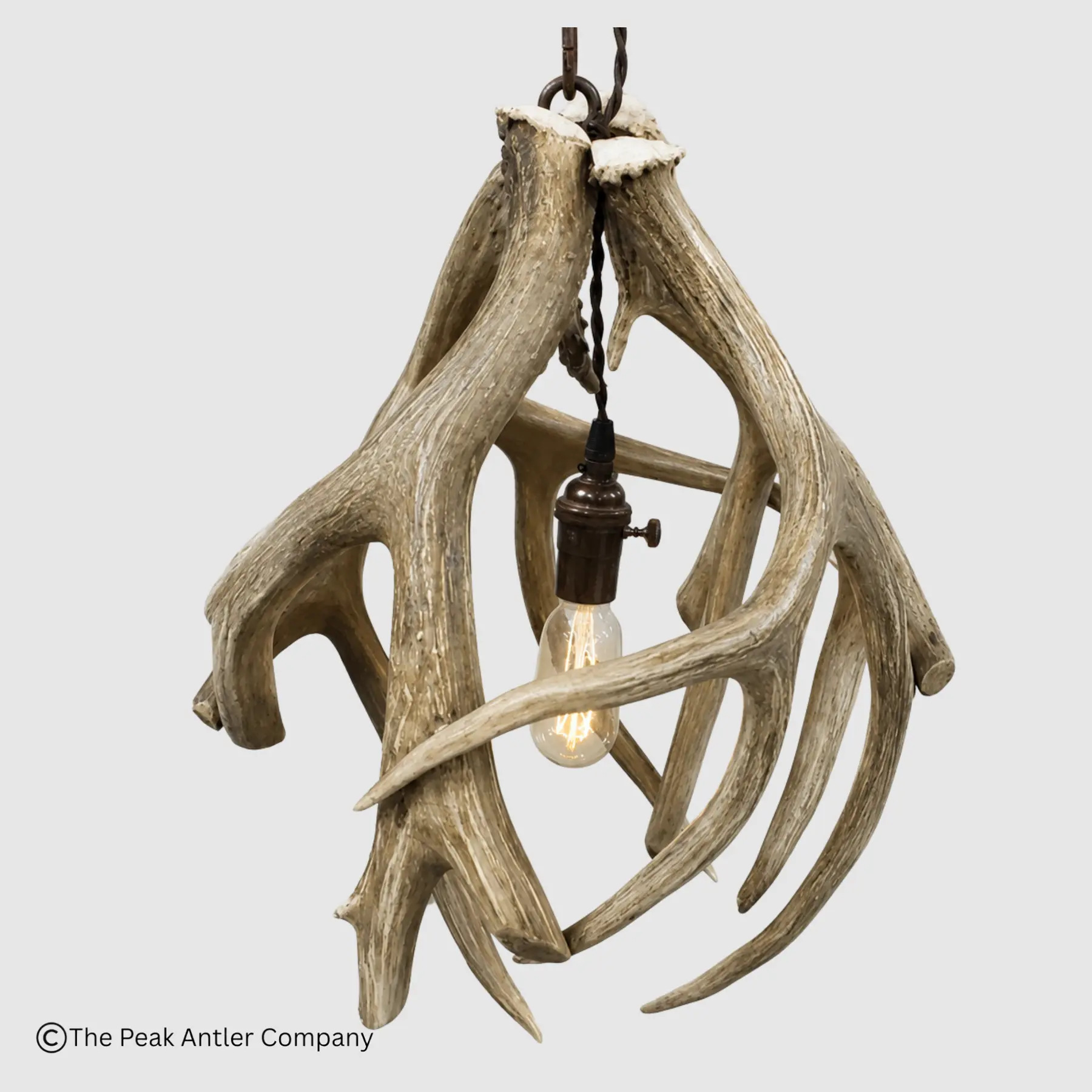 Small Round Mule Deer Antler Pendant Light