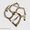 bottom view of the small round mule deer antler globe pendant light with one light