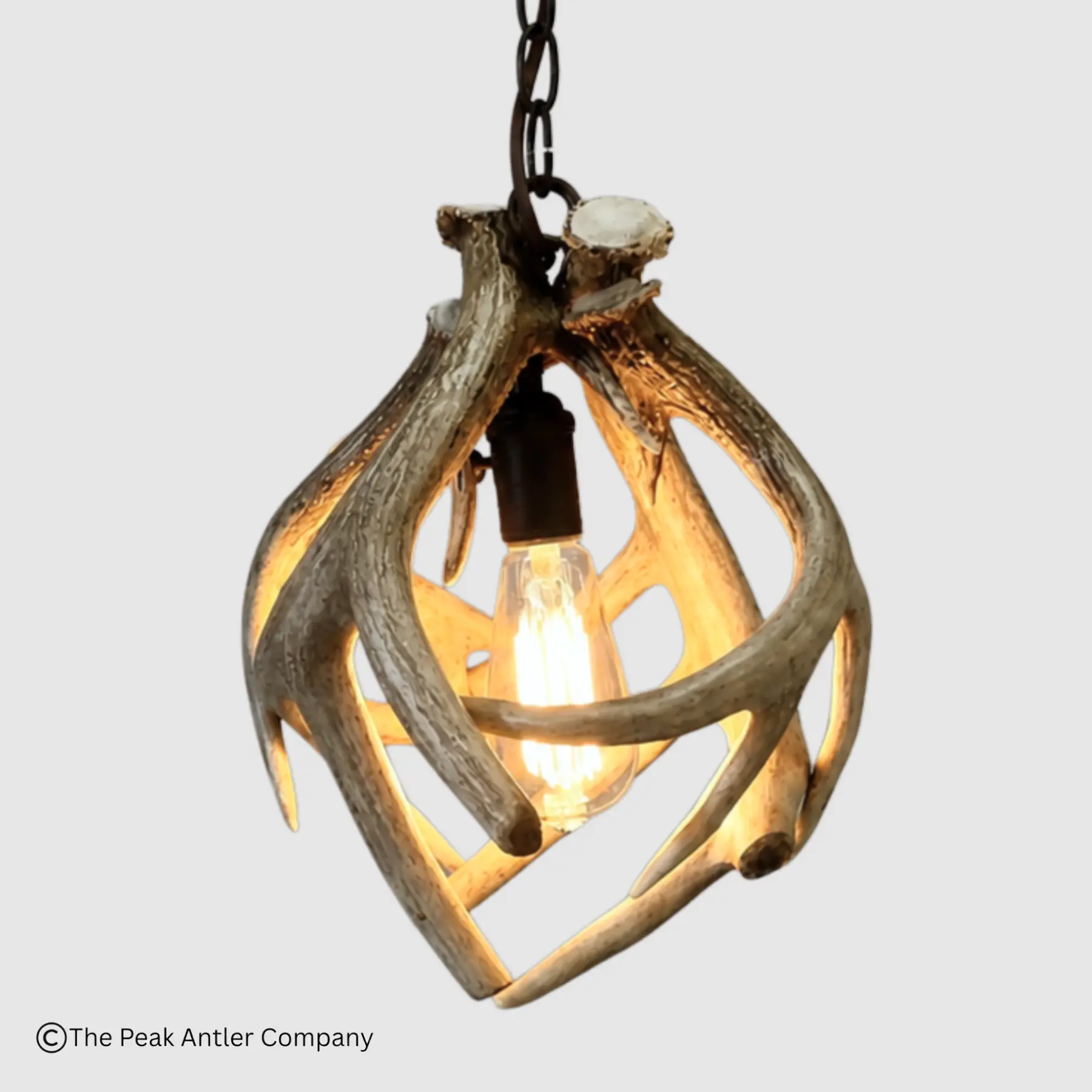 small round whitetail deer antler pendant light