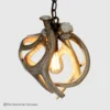 top down view of the small round whitetail antler pendant light