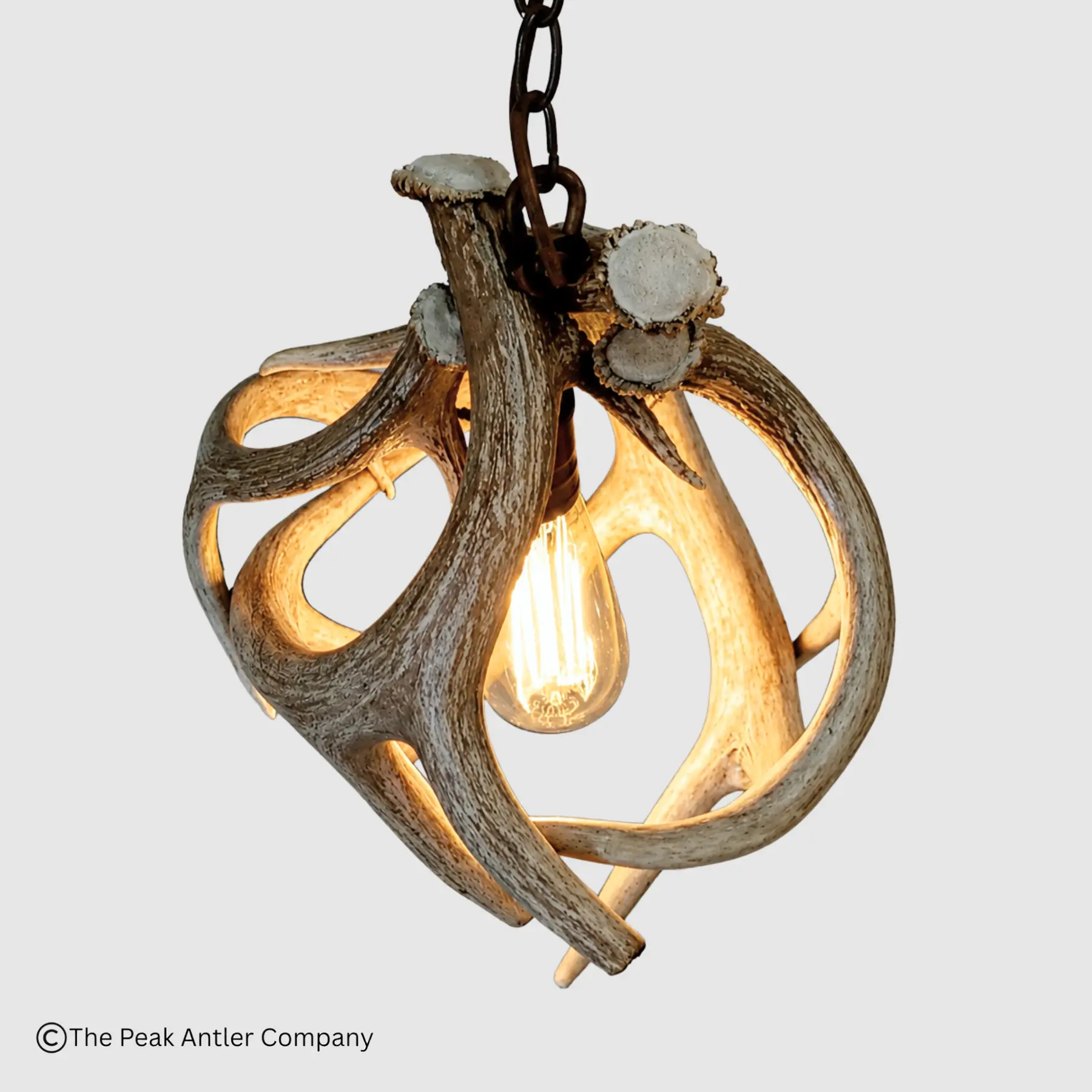 top down view of the small round whitetail antler pendant light