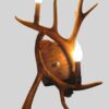 Mule deer sconce with two antler and two lights