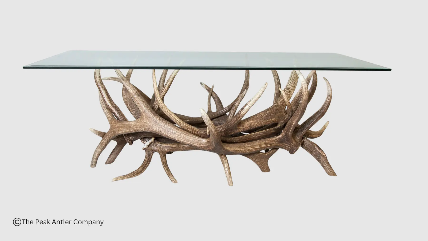 Elk Antler Coffee Table - Image 2