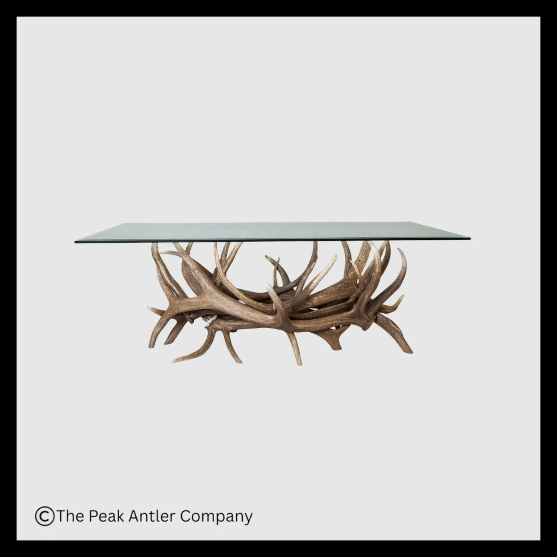 Elk Antler Coffee Table