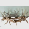 looking down through the glass top of the elk antler coffee table/cocktail table