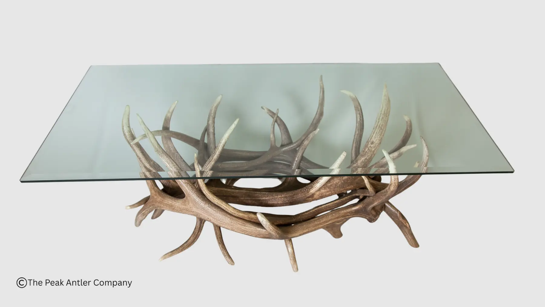 looking down through the glass top of the elk antler coffee table/cocktail table