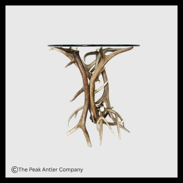 Elk & Mule Deer Antler End Table