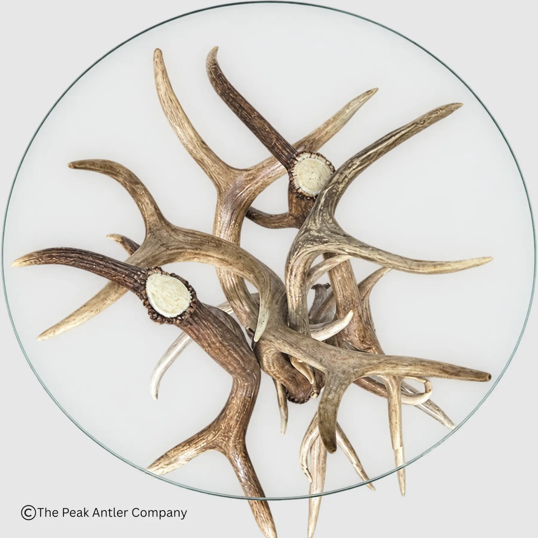 elk and mule deer antler ens table