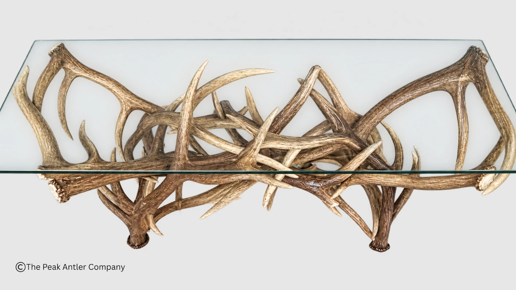 looking down through the glass top of the elk and mule deer antler sofa table