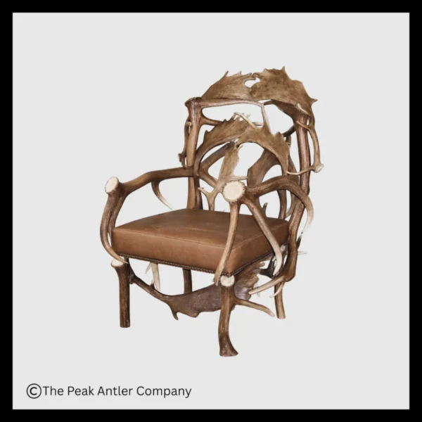 Elk & Fallow Deer Antler Chair