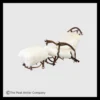 Alpine Elk Antler Chair & Ottoman, White Wool