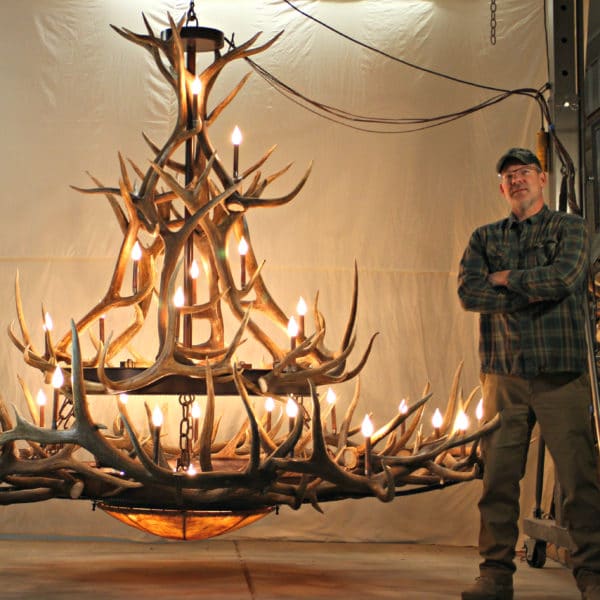 Large custom elk antler chandelier, man standing beside it for size