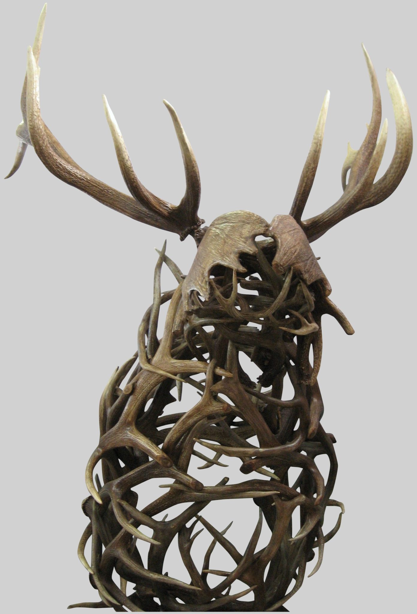 Sir-Lance-O-lot-front.jpg front view of antler deer bust
