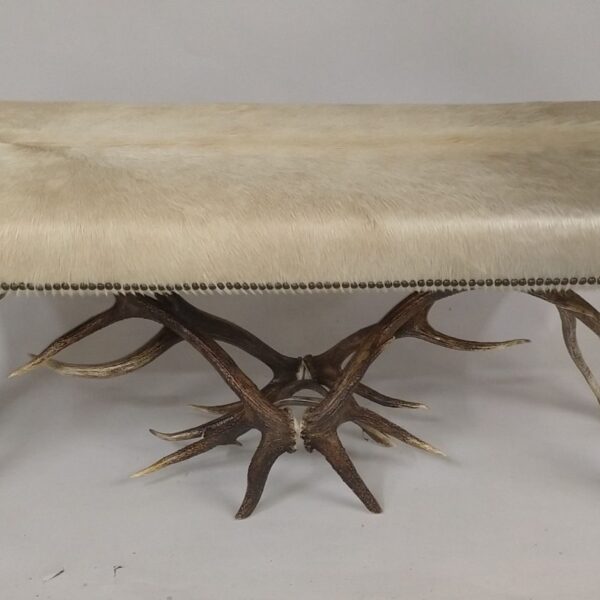 elk bench with white cow hide