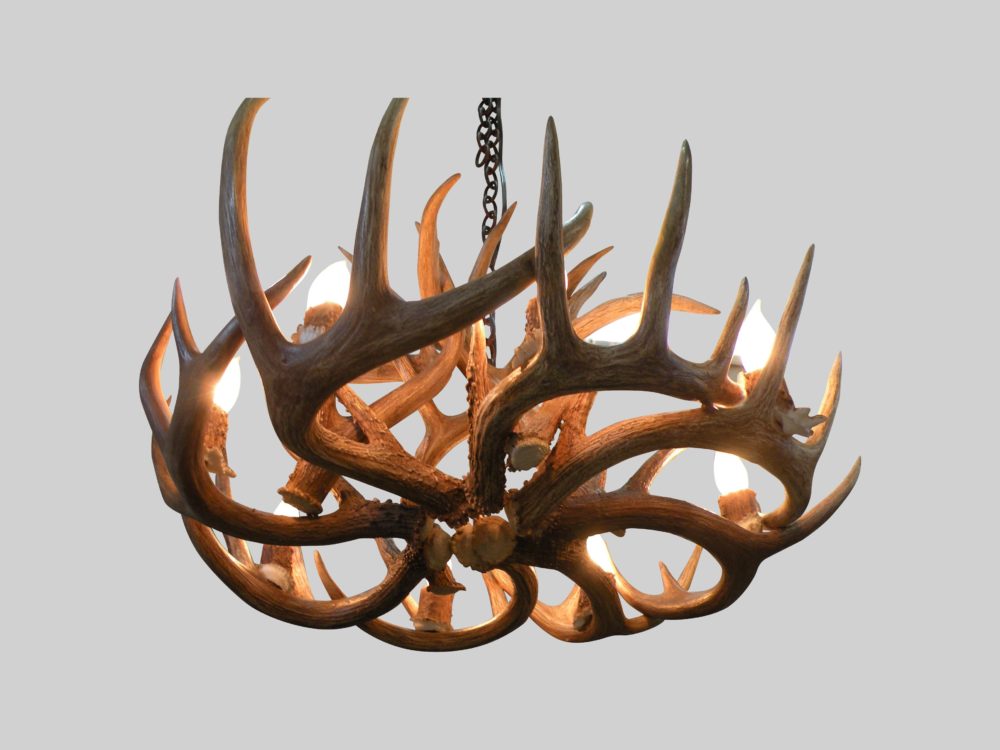 bottom view of large little bear whitetail antler chandelier