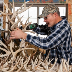 DIY Antler Chandelier Course and Kit