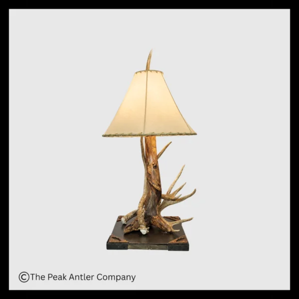 Trophy Base Table lamp