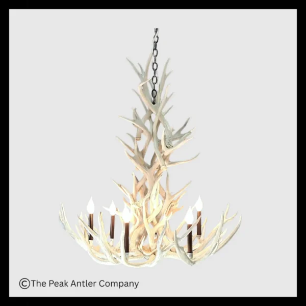 Nordic White Series Mule Deer Antler Chandeliers