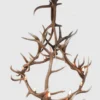 looking down on castle peak elk antler chandelier