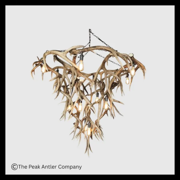 509 Challenger Point Peak Mule Deer Antler Chandelier Series