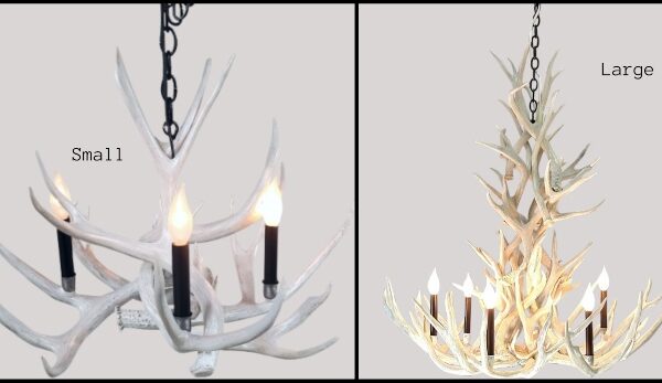 Nordic Mule Deer Series