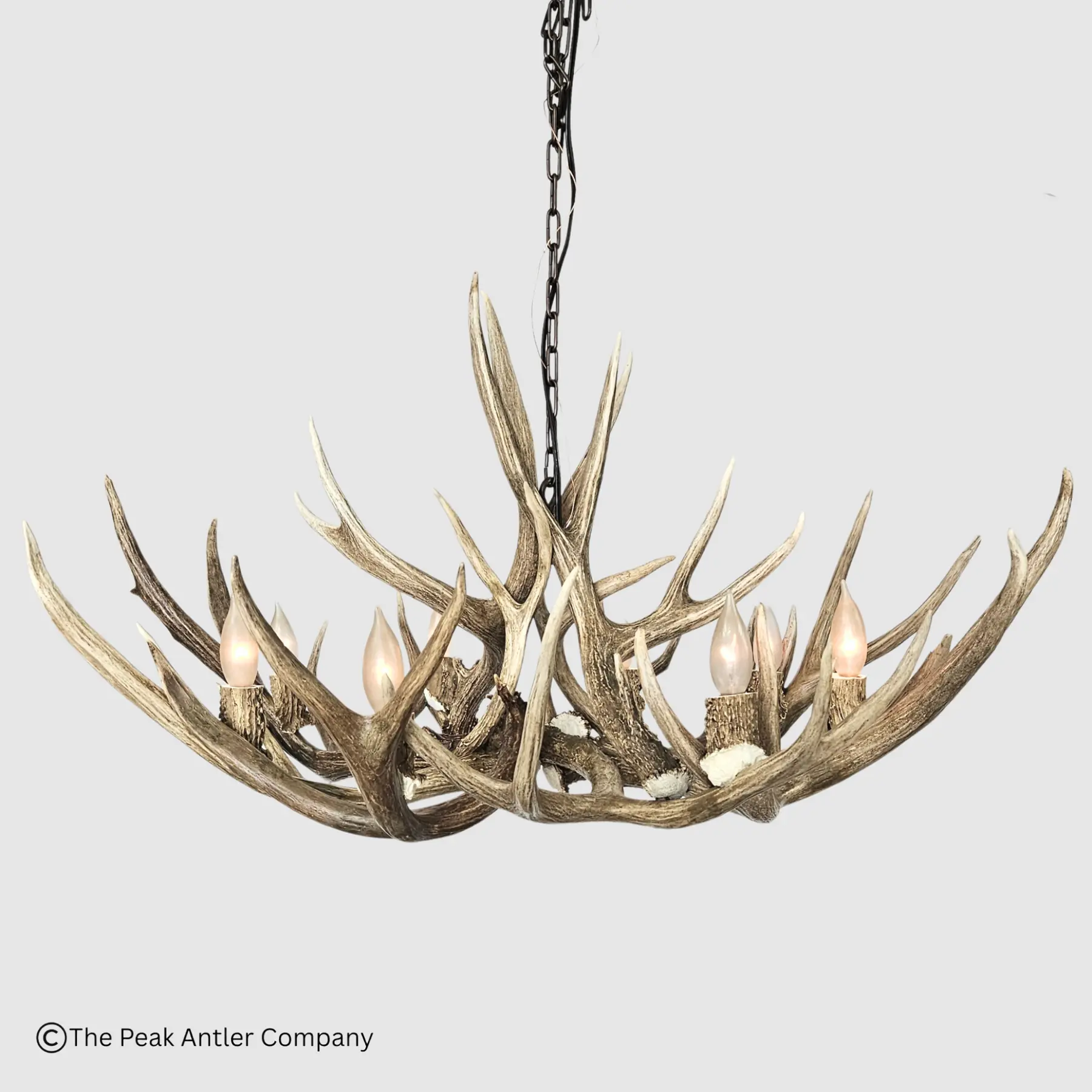 Large Farmhouse Mule Deer Chandleier front view