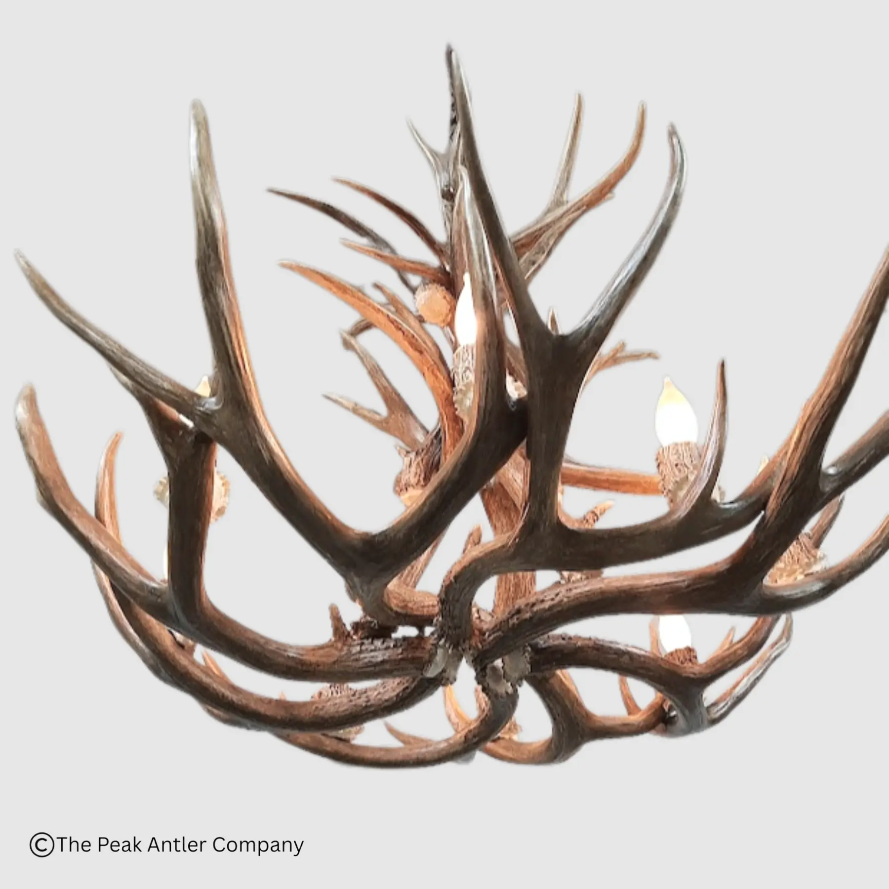 looking up at the bottom of the large mule deer farmhouse chandelier