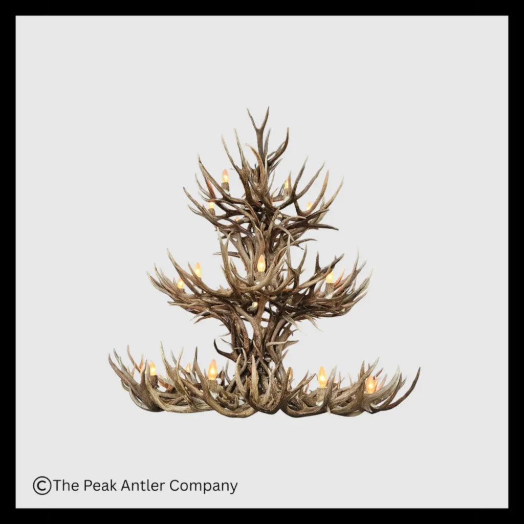 504 Aspen Series Mule Deer Antler Chandelier
