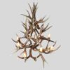 top view looking down on a medium ponderosa chandelier